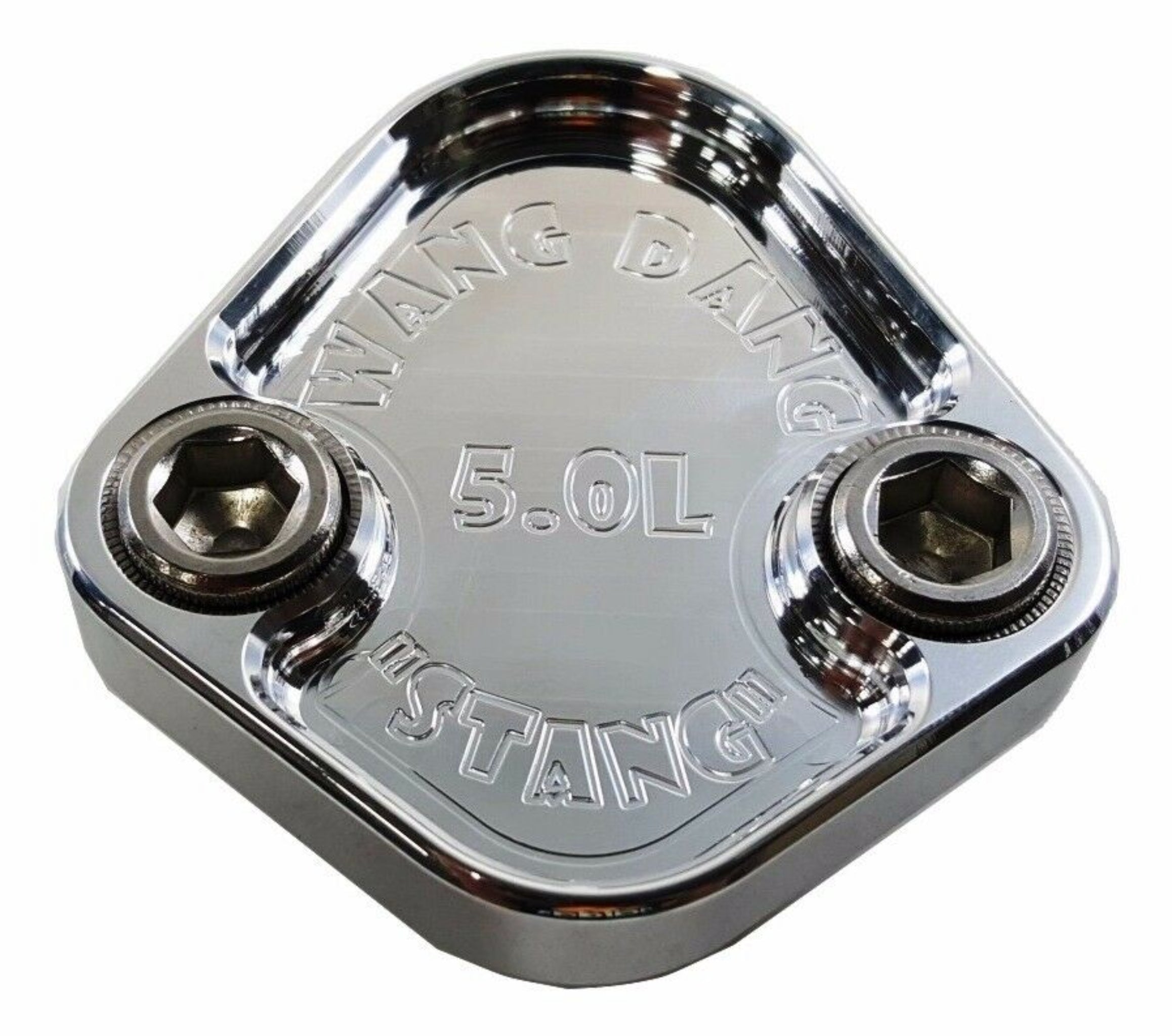 Fuel Pump Block Off Plate fits Ford 302 Small Block Engines